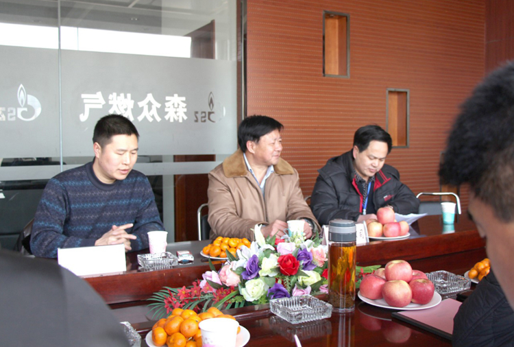 林口县政府与杏运注册登录站_杏运（中国）燃气项目洽谈.png